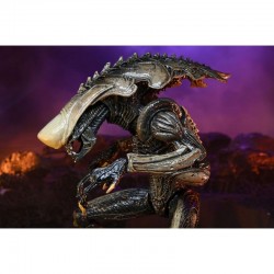 Alien vs Predator figurines 20 cm Razor Claws Alien