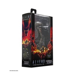 Aliens: Fireteam Elite série 1 18cm Runner Alien 